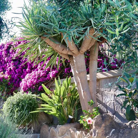 Sorgeto Garden 4* Forio di Ischia