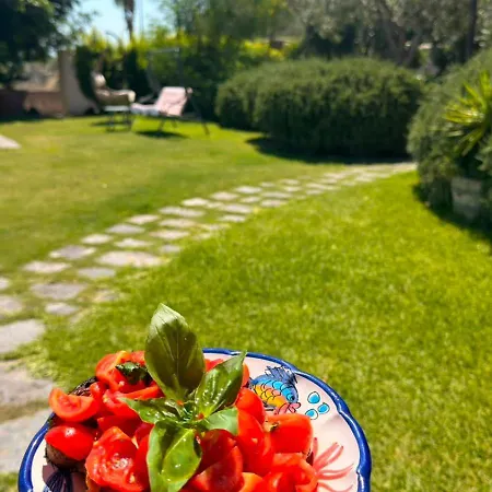 Sorgeto Garden