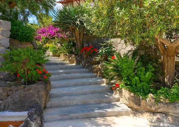 ベッド・アンド・ブレックファスト Sorgeto Garden